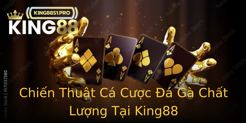 Chiến Thuật Cá Cược Đá Gà Chất Lượng Tại King88 Chiến Thuật Cá Cược Đá Gà Chất Lượng Tại King88