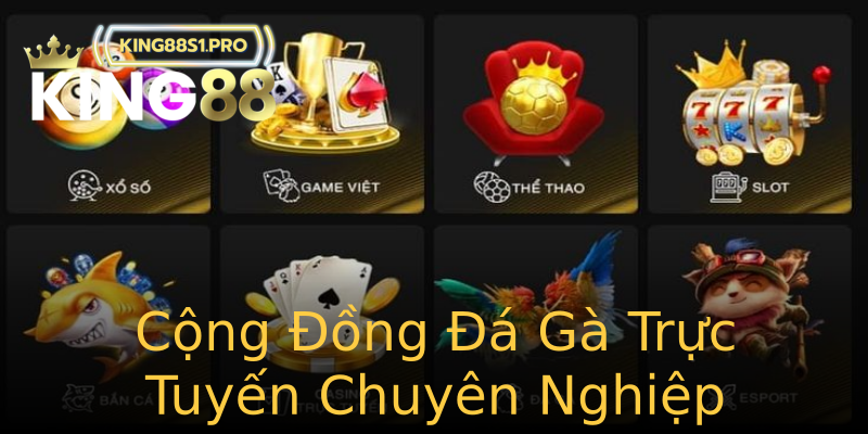 Cộng Đồng Đá Gà Trực Tuyến Chuyên Nghiệp Cộng Đồng Đá Gà Trực Tuyến Chuyên Nghiệp