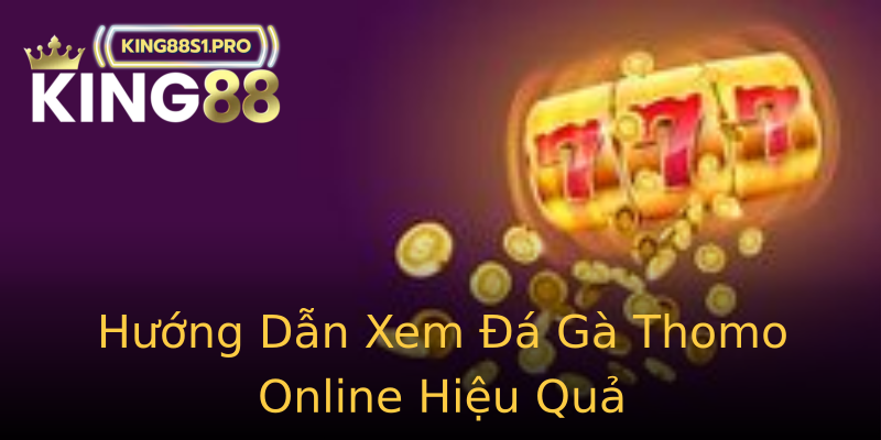 Hướng Dẫn Xem Đá Gà Thomo Online Hiệu Quả Hướng Dẫn Xem Đá Gà Thomo Online Hiệu Quả