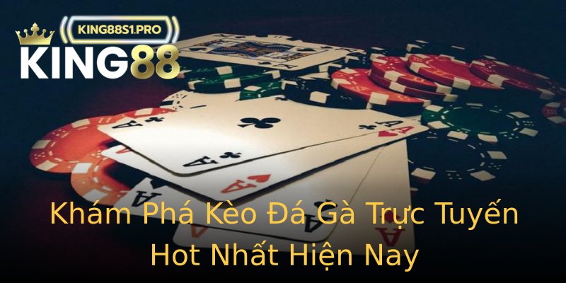 Khám Phá Kèo Đá Gà Trực Tuyến Hot Nhất Hiện Nay Khám Phá Kèo Đá Gà Trực Tuyến Hot Nhất Hiện Nay