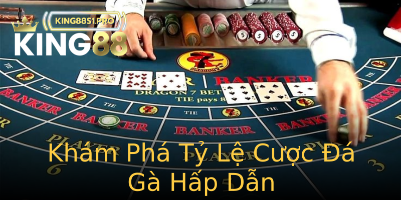Khám Phá Tỷ Lệ Cược Đá Gà Hấp Dẫn Khám Phá Tỷ Lệ Cược Đá Gà Hấp Dẫn