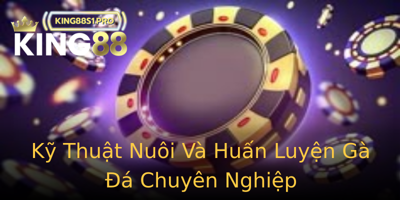 Kỹ Thuật Nuôi Và Huấn Luyện Gà Đá Chuyên Nghiệp Kỹ Thuật Nuôi Và Huấn Luyện Gà Đá Chuyên Nghiệp