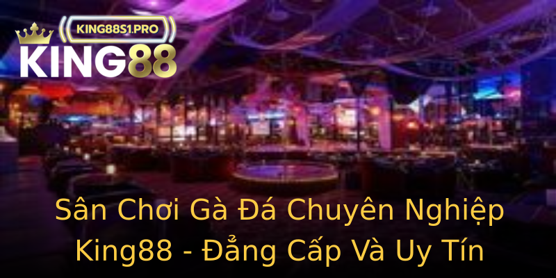 Sân Chơi Gà Đá Chuyên Nghiệp King88 - Đẳng Cấp Và Uy Tín Sân Chơi Gà Đá Chuyên Nghiệp King88 - Đẳng Cấp Và Uy Tín